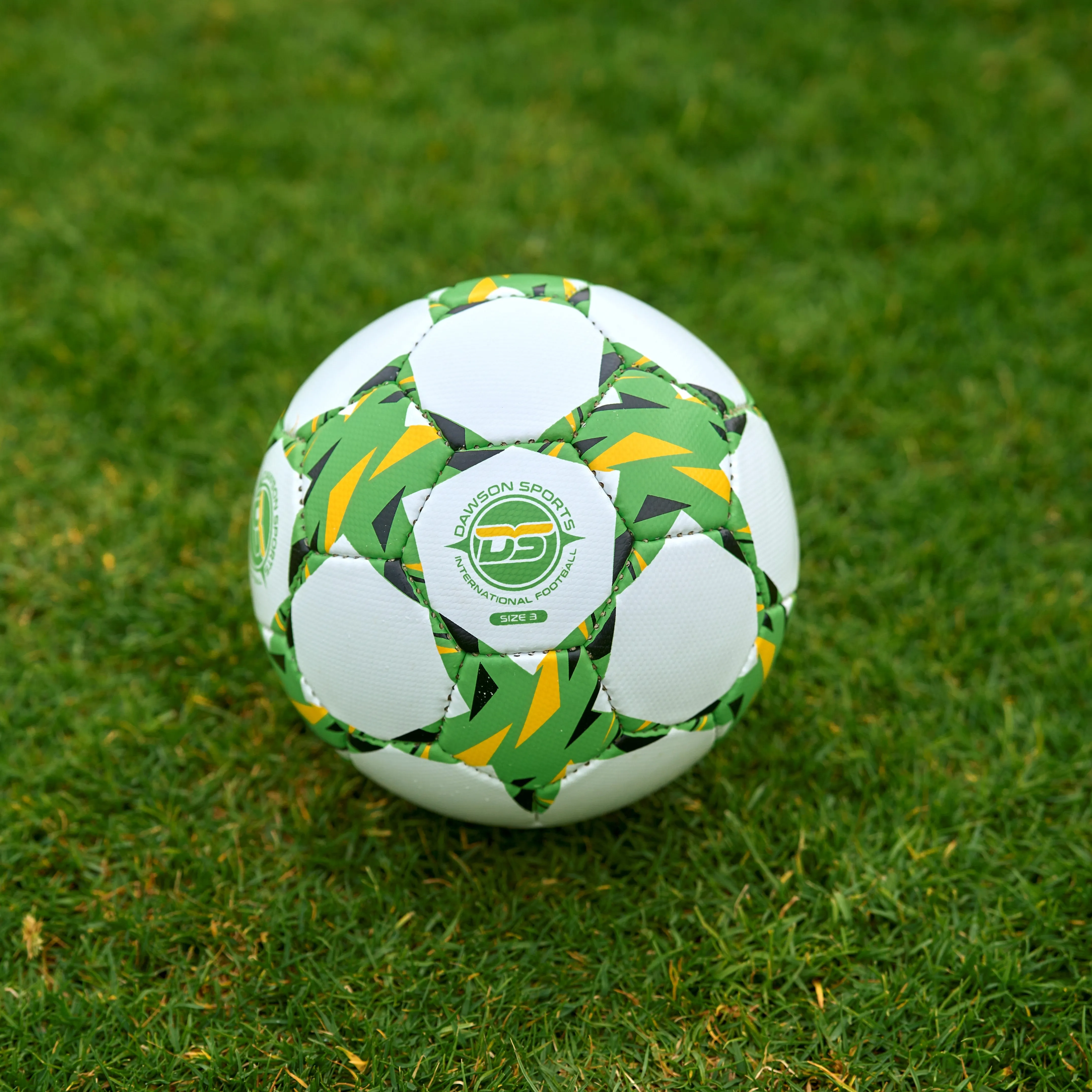 DS International Football (3 sizes available)