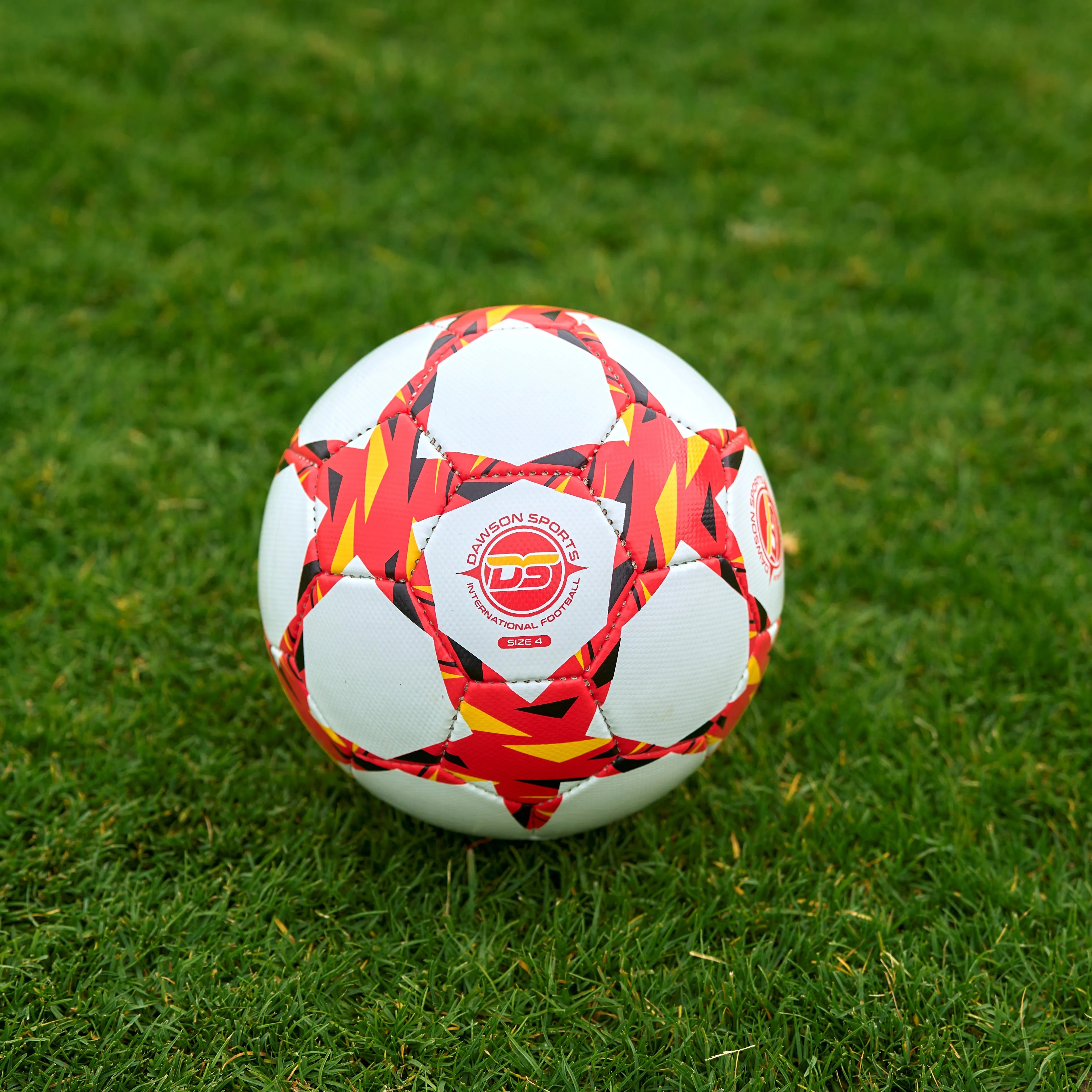 DS International Football (3 sizes available)