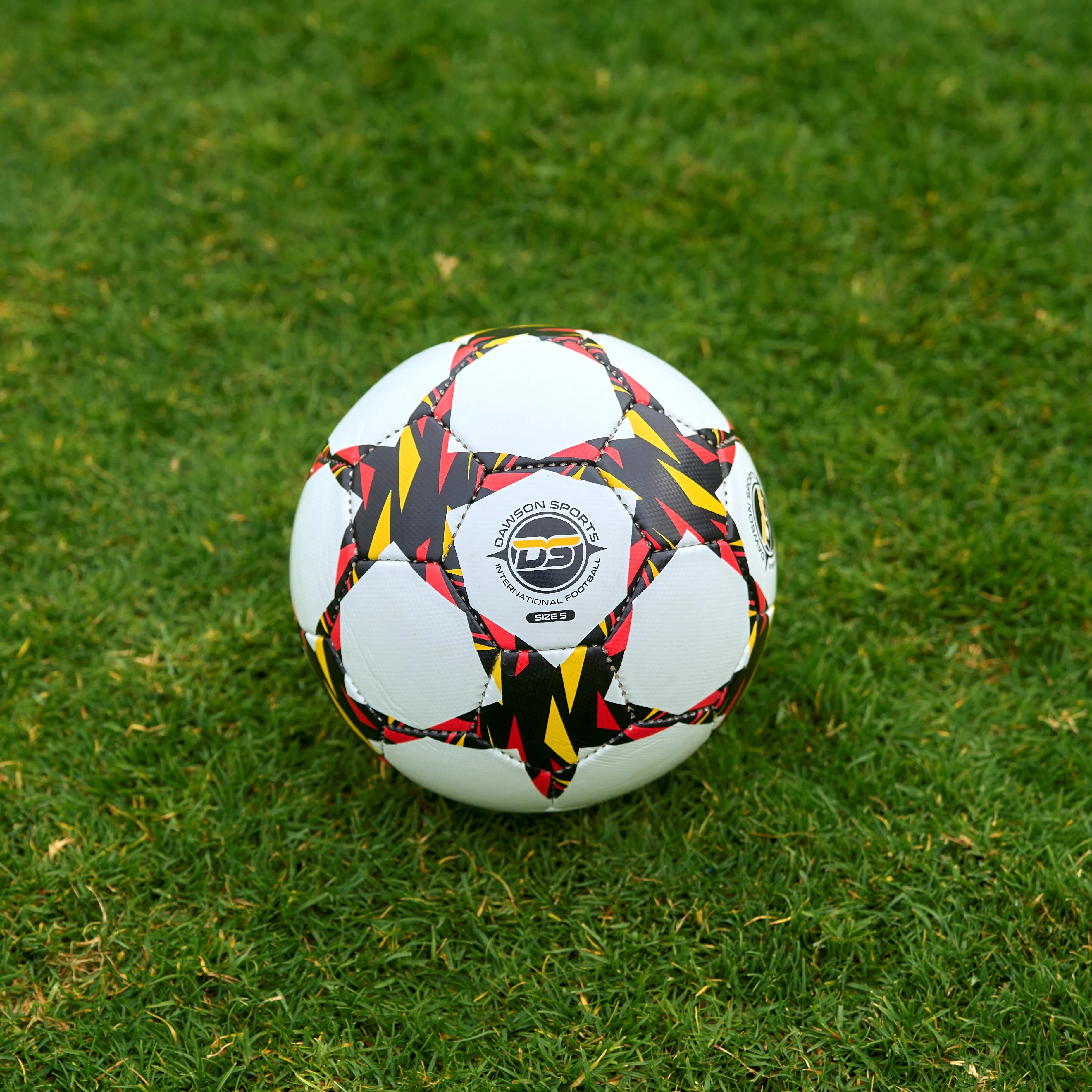 DS International Football (3 sizes available)